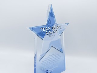 Team Spirit Recognition Award